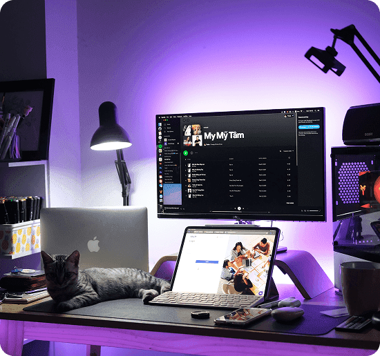 Creative Layouts That Elevate Digital Presence