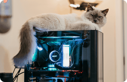 How Visual Hierarchy Guides User Attention